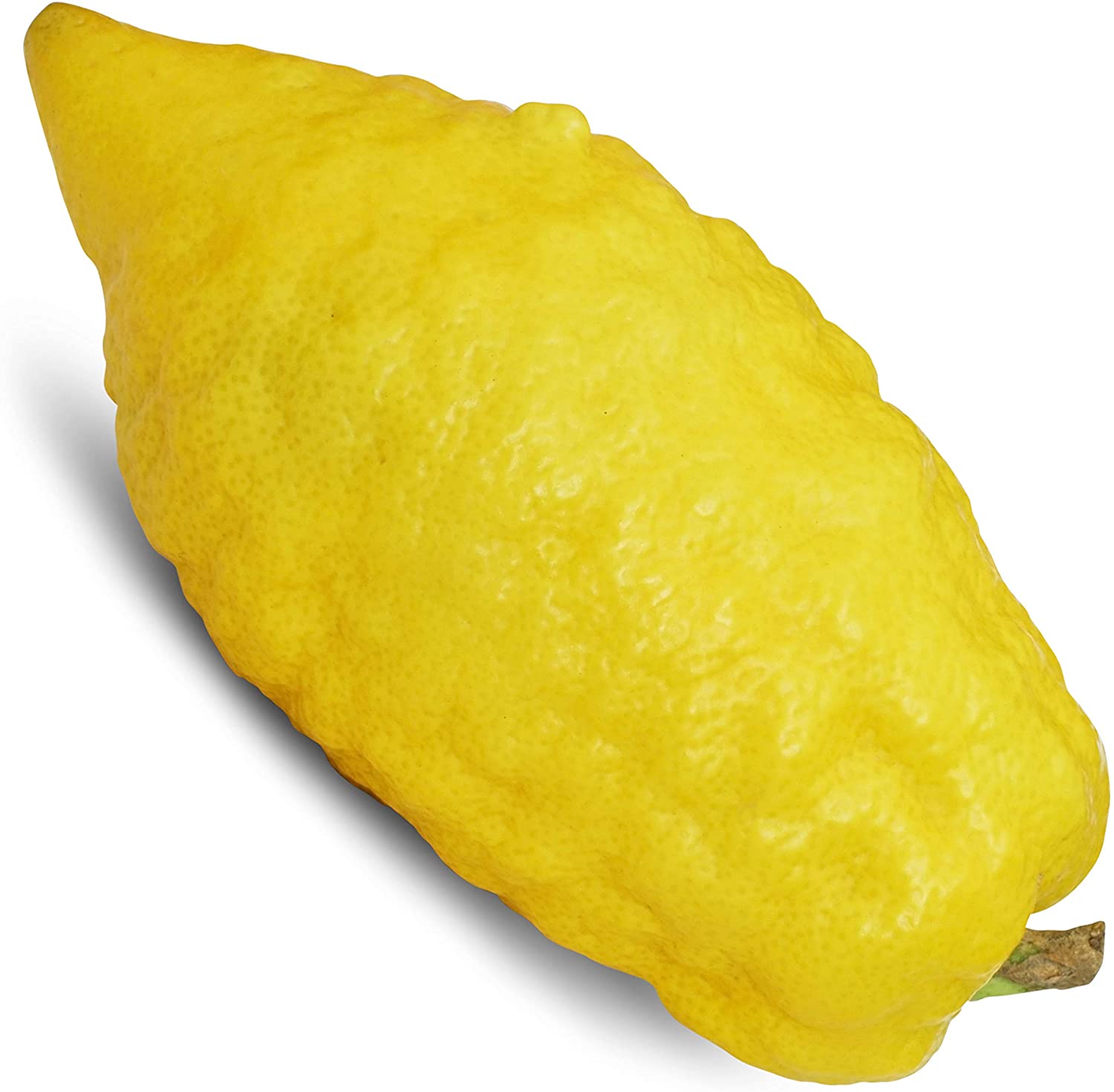 אתרוג חזון איש - סיטונאות