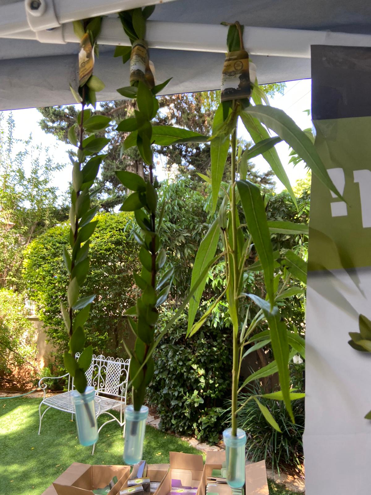 מי הדרין - סיטונאות