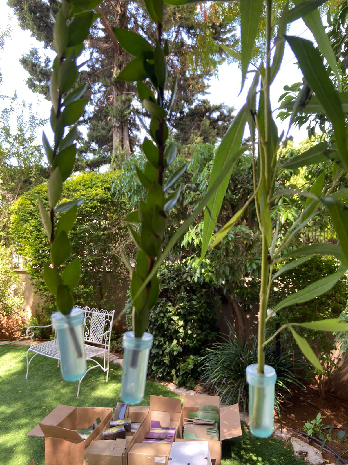 מי הדרין - סיטונאות