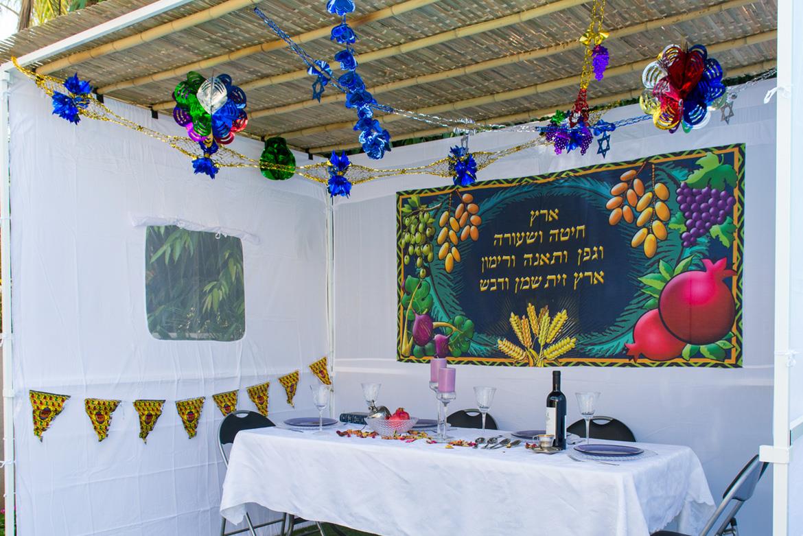 בד כותנה חלון + מודפס + דלת + מאויר לסוכה - סיטונאות